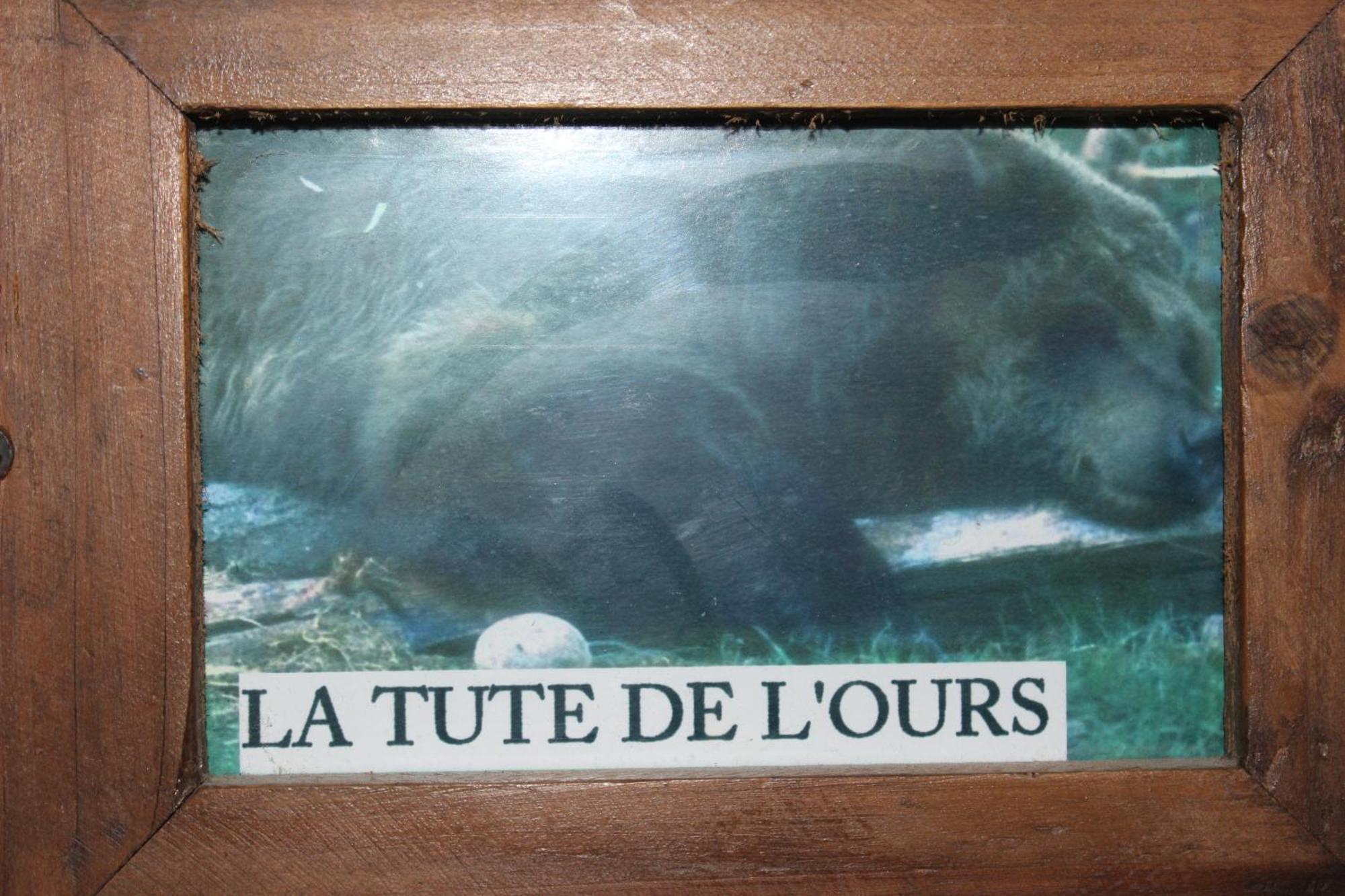 Maison De Charme Calme Entouree De Montagne Ussat エクステリア 写真